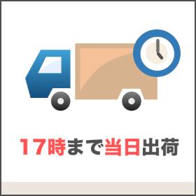 17時まで当日出荷