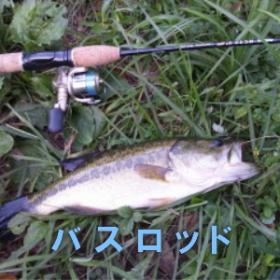 バス釣り、バスロッド