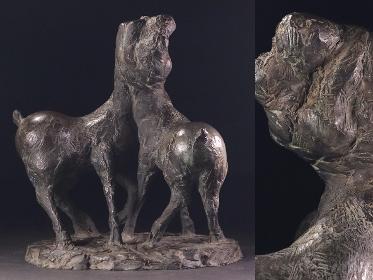 Yahoo!オークション - 開花浪漫ヤフー店さんの出品リスト