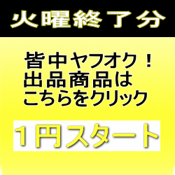 1円オークション火曜終了分を紹介します