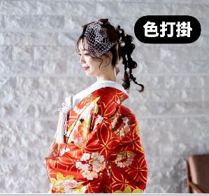 打掛　（中古、サンプル見本品など）