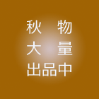 秋物大量出品中！