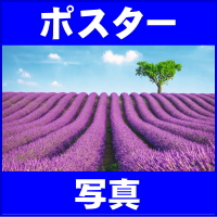 ポスター 写真