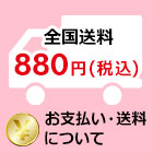 お支払い・送料について