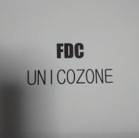 オリジナルカー用品 UNICOZONE