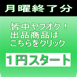 1円オークション月曜終了分を紹介します