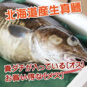 北海道冬の風物詩！北海道産生真鱈