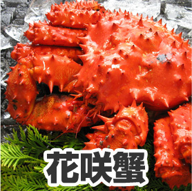 北海道の幻の蟹、濃厚な旨味をもつ花咲ガニ