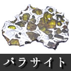 石鉄隕石 パラサイト