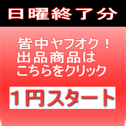 1円オークション日曜終了分を紹介します